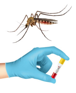 Prueba de Dengue